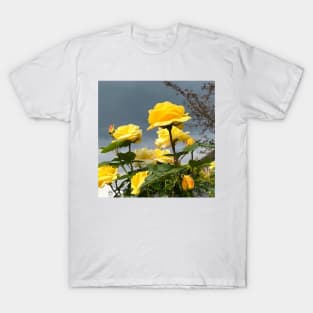 Bunch Of Yellow Roses With Clear Sky In Background T-Shirt